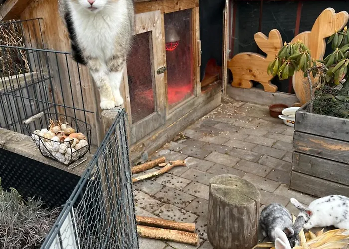 Berger Im Zweiten Stock Appartement Murau